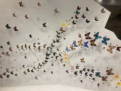 -长江文明馆