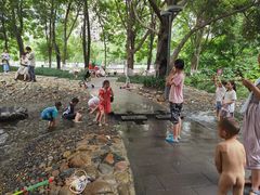 -成都市活水公园
