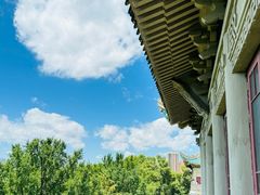 -武汉大学-樱园