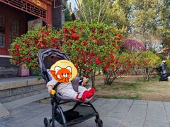 -碑林公园