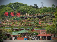 -枇杷园食为鲜火锅(南山店)