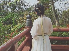 -桂满陇天书(南京德基旗舰店)