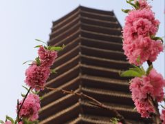 -玲珑塔公园