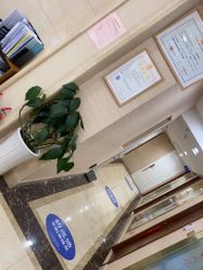 -碧莲盛·不剃发植发