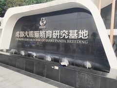 景点-成都大熊猫繁育研究基地