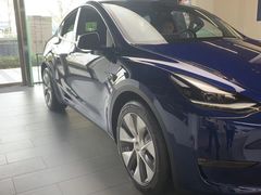 -TESLA 特斯拉(郑州正弘城体验店)