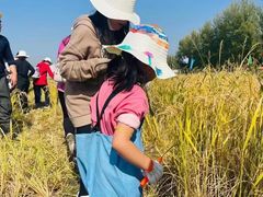 -蓝莓果幼儿园(通州梨园店)