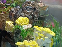 -花溪老屋·山野土菜院子(机场大道店)