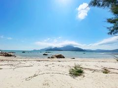 -花海间·即刻露营