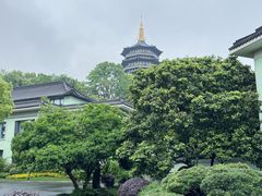 -浙江西子宾馆·牡丹厅