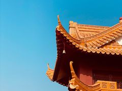 -深圳仙湖植物园