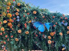 -芜湖方特东方神画