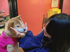 -猫色咖啡·猫咖