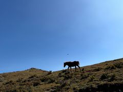 -灵山