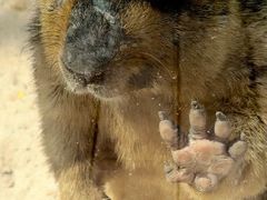 -水上乐园·欢乐世界