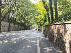 -佘山国家森林公园-西佘山停车场