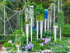 -深圳仙湖植物园