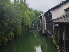-乌镇景区