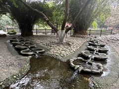 -成都市活水公园