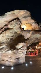 -翱翔飞越地平线