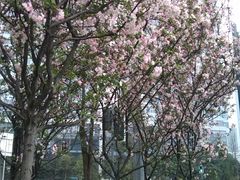 -海力健身游泳(太古里朗御店)