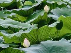 -青龙湖公园