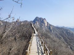-大岭沟猕猴桃谷风景区