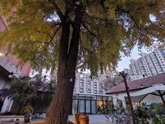 -秘密小花园(第三中学店)