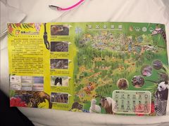 -海南热带野生动植物园