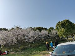 -滆湖低碳生态公园