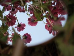 -映月湖中央公园