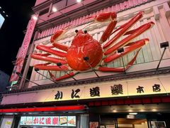 -蟹道乐(道顿堀本店)