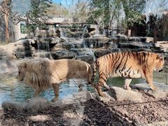 -北京野生动物园