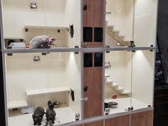 -十年猫舍·猫咪专门店(普陀店)