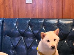 -汉米达特色料理餐厅(郴州友阿国际广场店)