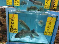 水产区-有腥气私房菜·寻味顺德