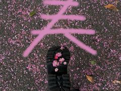-阿哈湖国家湿地公园