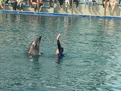 -北戴河圣蓝海洋公园