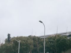 -奔驰上海利星(七宝店)