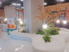 -帕帕拉兹宠物(亚洲旗舰店)