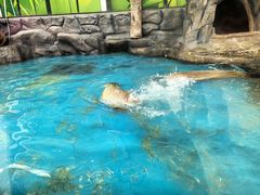 -海合安成都极地海洋公园