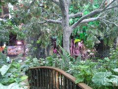 -正佳雨林生态植物园