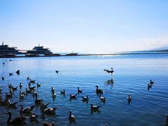 -青海湖国家重点风景名胜区