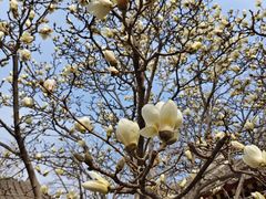 -齐白石旧居纪念馆