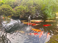 -聚福宝合苑食府(南头镇店)