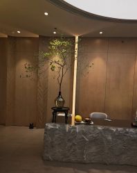 -VELEE·SPA高定疗愈会所