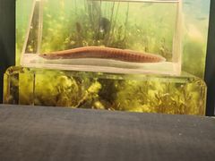 -杭州西湖博物馆总馆