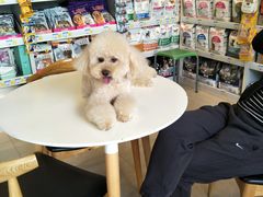 -我爱吾宠宠物美容院(朝阳路店)