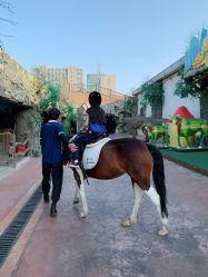 -宝燕乐园(闵行旗舰店)