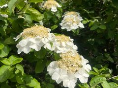 -钟山体育运动公园